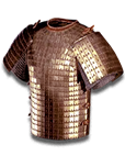 Содранная плоть