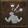 War Cry